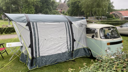 Pistache – Classic VW T2 Panorama bus