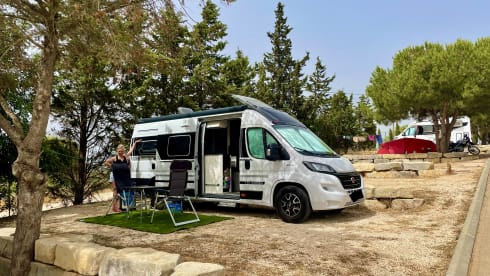 2p Fiat bus from 2020