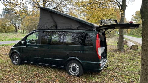 Mercedes-Benz Marco Polo 4 persons