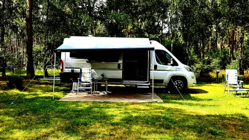 2p Sun Living bus from 2018