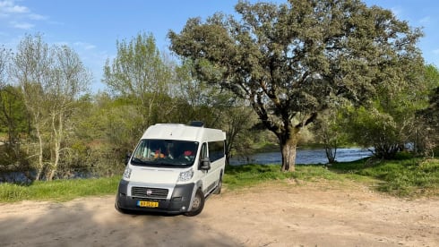2p Fiat bus from 2012