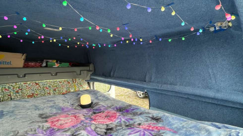 Fishbowl 🐟 – Cosy lil van for your xmas trip 