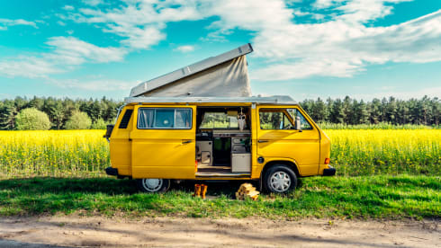 Simba – the yellow retro Volkswagen van with lifting roof