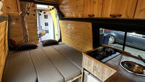 Garfield – Volkswagen T5 Abenteuer
