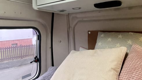 GINNY – small but has everything