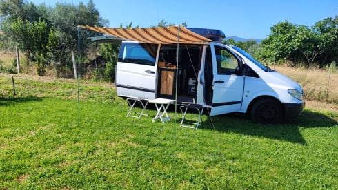 Vito Mercedes Benz 111 cdi