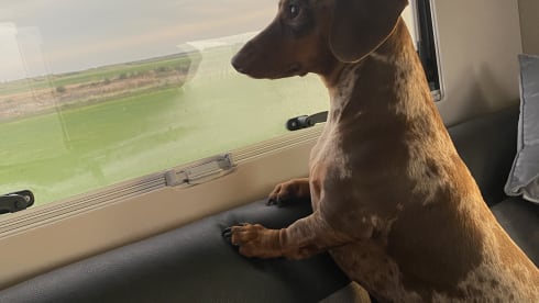 Luxury Motorhome Hire