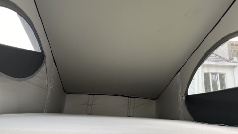 Whitey  – Iconic VW California Ocean 2024 II