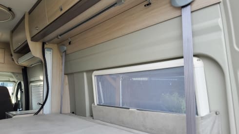 3p Citroën Bus Camper von 2017