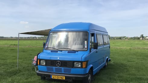 Lynz – Cheerful camper van Westfalia