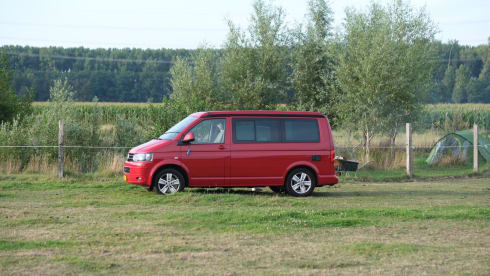 4p Volkswagen campervan from 2014