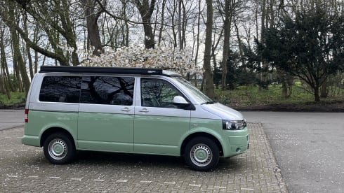 “Pomme” – 4p Volkswagen bus from 2023