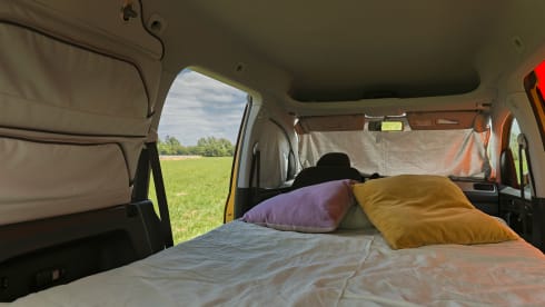 Caddy beach – 2p Volkswagen other uit 2026