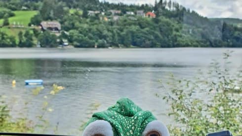 Stevie 2.0 – Chausson 777GA - 2021 for your dream vacation