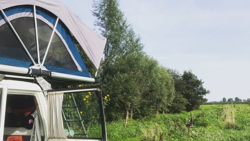 Unique camping cruiser 4x4 with roof tent