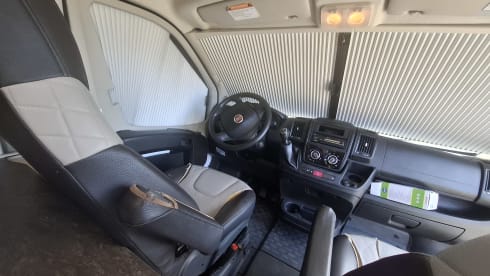 4p Fiat bus uit 2021