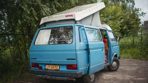 Aliforni – Zuverlässiger Volkswagen T3