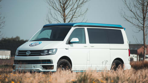 Bob – White & Blue Ormskirk