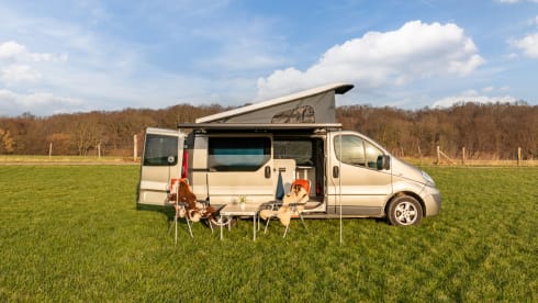 Roza – 4p Renault Camperbus from 2011 - suitable for almost any adventure!