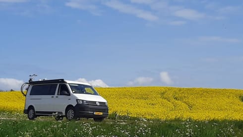 Volkswagen T5 Camperbus 4 persons 