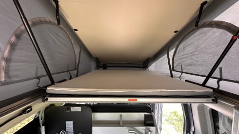Nuggie Nugget – 4p Ford campervan from 2023