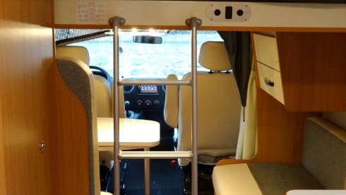 Willie – The Normal One