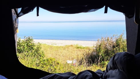 Paul – 2 1/2 berth Luxury Mercedes Campervan, with kennel - Inclusive Insurance