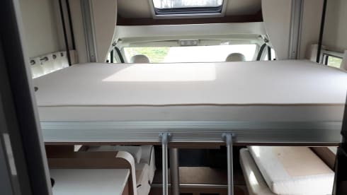 4p Pilote P 746 sensation Semi-Integral from 2020