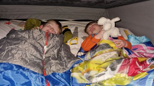 Dug – 3/4 berth Vauxhall Vivaro campervan,