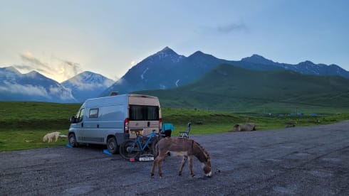 Zelfbouw Fiat Ducato – Chris and Maria's bus