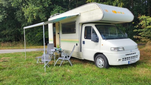 Fiat Carioca 2 WoMo, Wohnmobilvermeitung, Wohnmobil