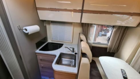 Elina – Ahorn Canada AE