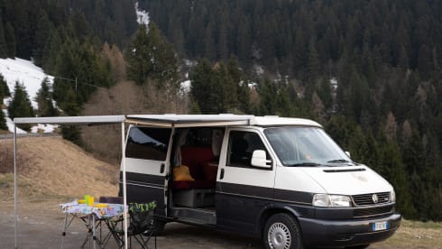 Vaiana – VW CALIFORNIA T4 Westfalia TDI