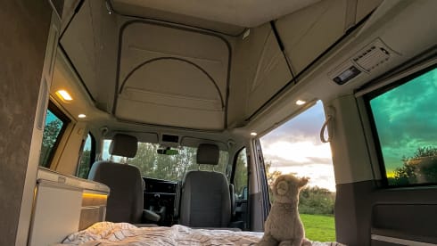 JEAN – JEAN- 4p Volkswagen California Ocean full option 2023 - Automatic