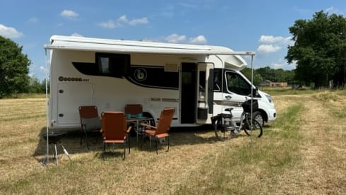 Benimar Cocoon 497 BJ 2022