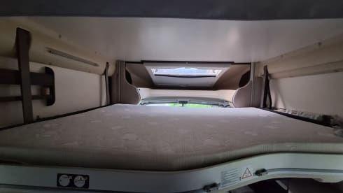 5p Benimar semi-integrated from 2017