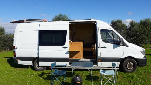 Siobvan – 2p Mercedes-Benz bus from 2014
