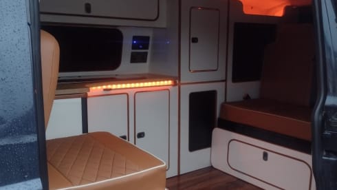 Squirrel – Squirrel, the LWB VW Transporter!!