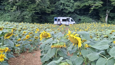 Discover the world! 2 p. Buscamper off-grid, fully equipped.