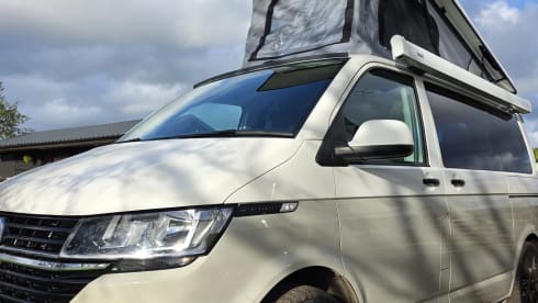 'Cow' Parsley – VW-Campingbus mit 4 Schlafplätzen