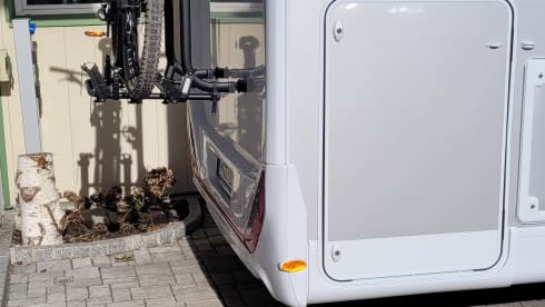 Sunny – Sunlight Adventure