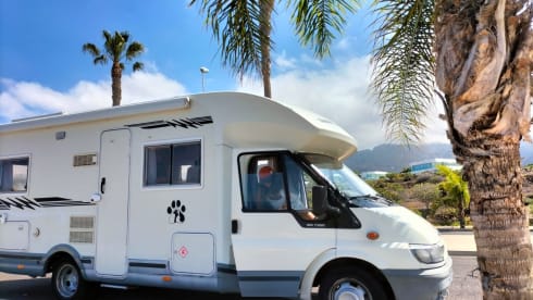 ESCAPE – NOLEGGIO LOW COST A TENERIFE