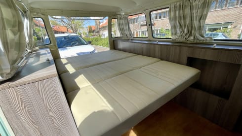 Pistache – Classic VW T2 Panorama bus