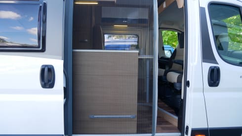 2p Fiat bus from 2020