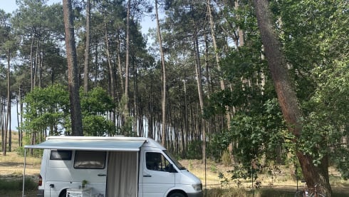 De Merrie – 2p Mercedes-Benz campervan from 1996