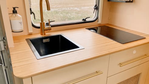 Miss Honey –  The most stylish family camper is looking for warm adventurers!