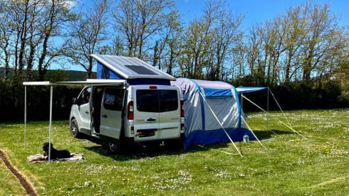 Trevor – Renault campervan met 4 slaapplaatsen uit 2016