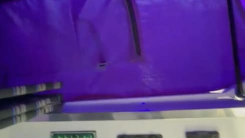 Luxury Van Transporter T5