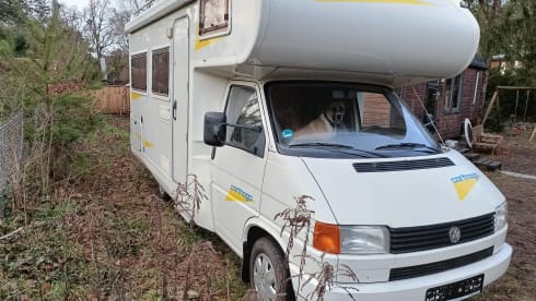 Freedom – VW t4 Carthago 