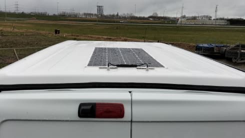Renault Trafic Bus Camper